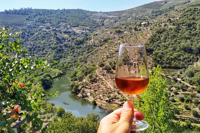 Douro Valley Prime Tour: Wine Tastings, Boat & Lunch from Porto - The small-boat Douro cruise: where the valley finally clicks