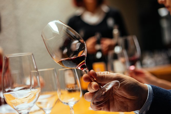Douro Valley Private Day Trip including Boat Ride & Wine Tasting - Private Douro Valley Day Trip From Porto: What You Get With One Guide