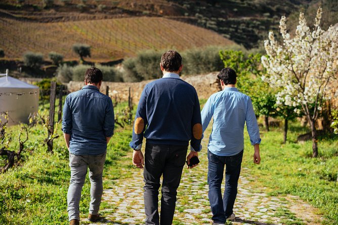 Douro Valley Private Day Trip including Boat Ride & Wine Tasting - Douro River Boat Ride: The Relaxing Middle That Breaks Up the Day