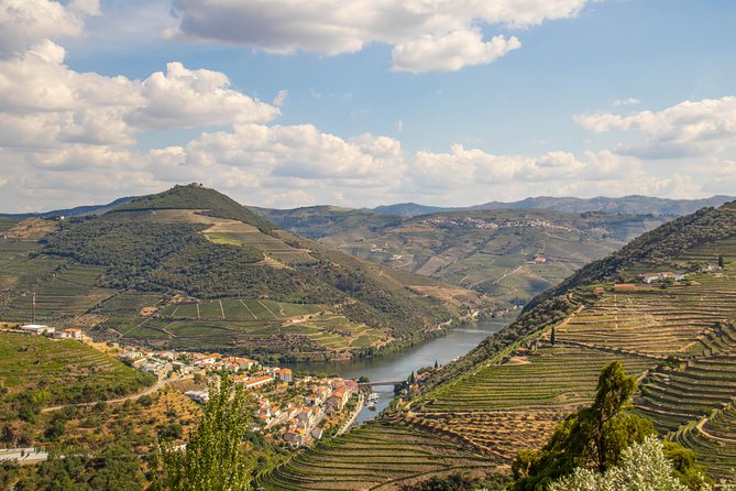Douro Valley: private tour with lunch and wine estate all inclusive - Lunch in the Douro Valley: Portuguese food plus local wine