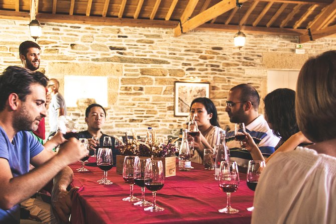 Douro Valley: private tour with lunch and wine estate all inclusive - The N222 road drive: why the scenery matters before the boat