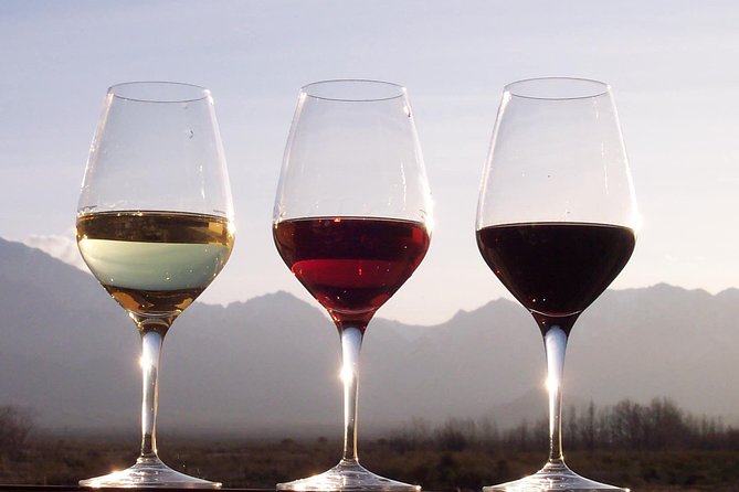 Douro Valley Private Wine and Food Tour From Porto - How This Private Douro Day Works From Porto