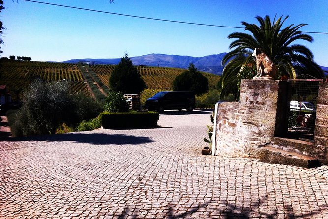 Douro Valley Private Wine and Food Tour From Porto - Pinhão Lunch: Where You’ll Spend Real Time