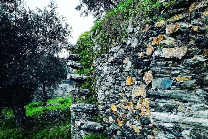 Douro Valley Private Wine and Food Tour From Porto - Price and Value: What You’re Really Paying For