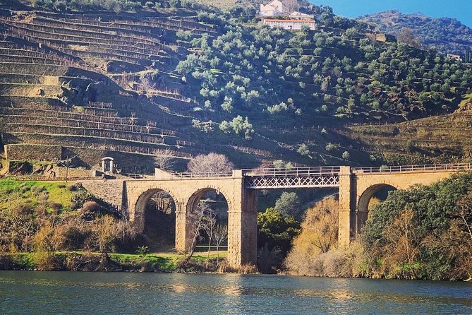 Douro Valley Private Wine and Food Tour From Porto - Timing, Weather, and a Smooth Day Without Stress