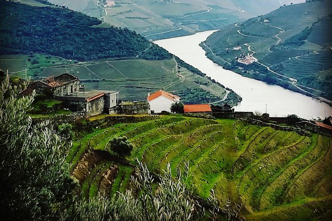 Douro Valley Private Wine and Food Tour From Porto - Casal de Loivos Viewpoint: The Photo Stop With a Purpose