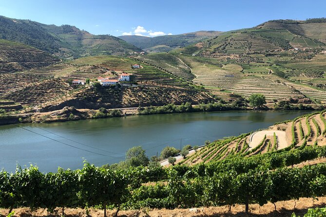 Douro Valley private wine tour | tastings and lunch included - A One-Day Douro Valley Plan from Porto (8:30 to around 19:30)