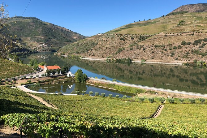 Douro Valley private wine tour | tastings and lunch included - Who This Tour Fits Best (and Who Might Want a Different Plan)