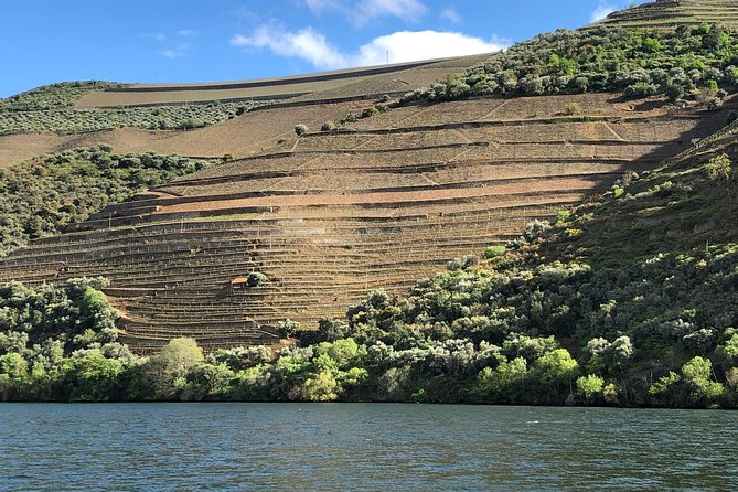 Douro Valley private wine tour | tastings and lunch included - Private, but Road-Time Still Sets the Pace