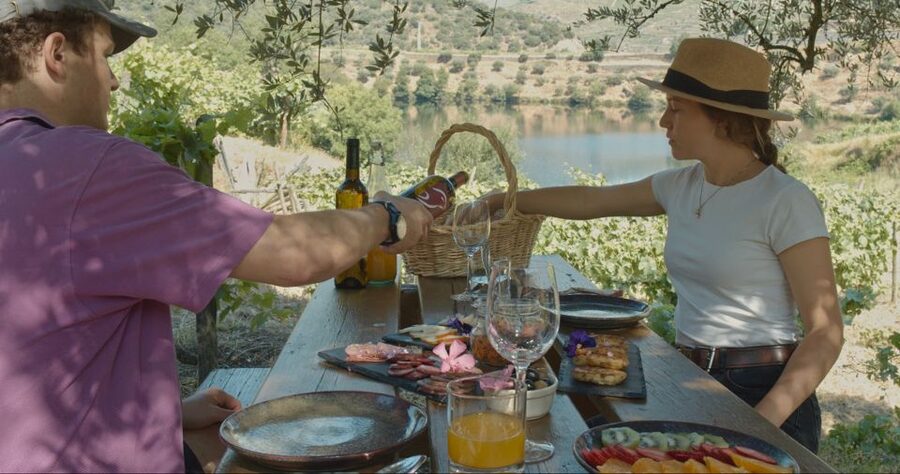Douro Valley: Quinta do Tedo Wine Experience with Picnic - Quick highlights you’ll care about