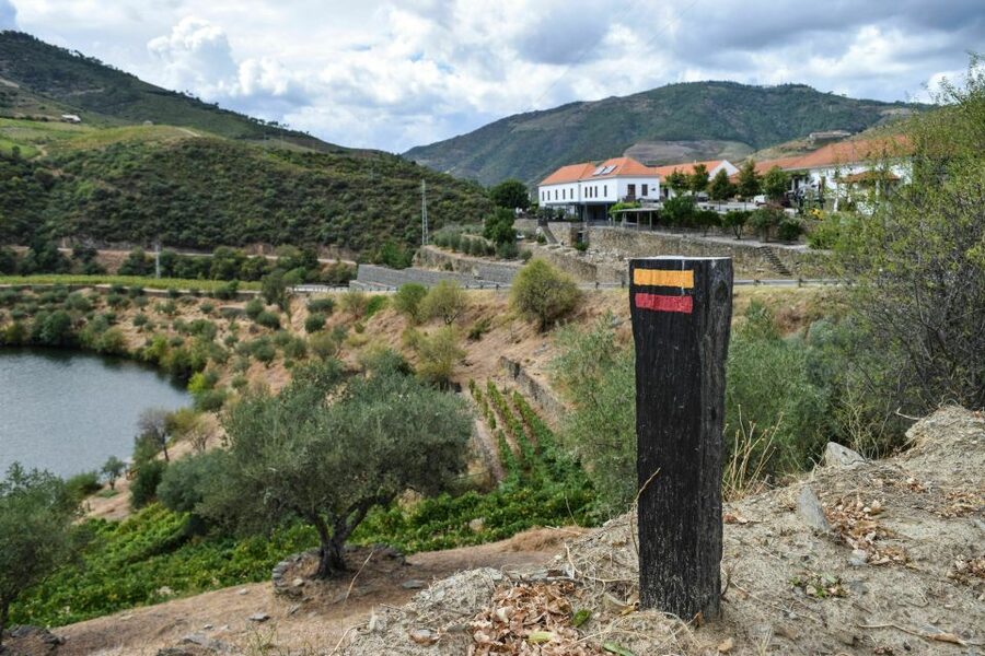 Douro Valley: Quinta do Tedo Wine Experience with Picnic - Quinta do Tedo: picnic views that feel like a local ritual
