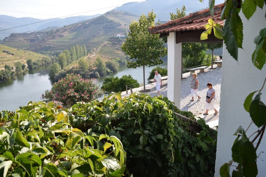 Douro Valley: Quinta do Tedo Wine Experience with Picnic - Pairing the DOC wines: red/rosé versus Terra a Terra white