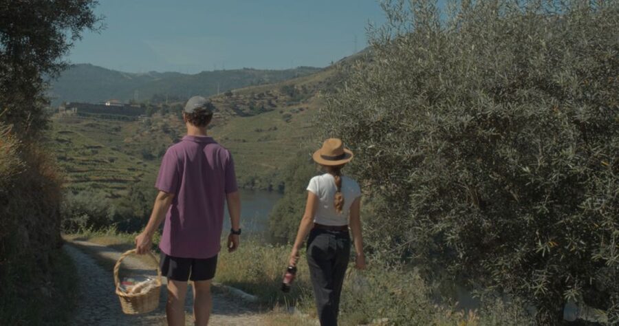 Douro Valley: Quinta do Tedo Wine Experience with Picnic - What makes it feel intimate: private group energy and guide-led flow