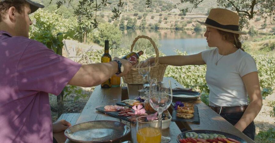 Douro Valley: Quinta do Tedo Wine Experience with Picnic - Who should book this Douro picnic experience