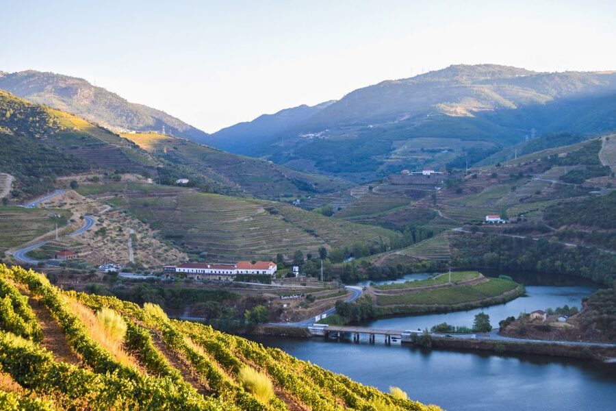 Douro Valley: Quinta do Tedo Wine Experience with Picnic - The 10h30 start: winery tour, cellars, and tasting that makes sense