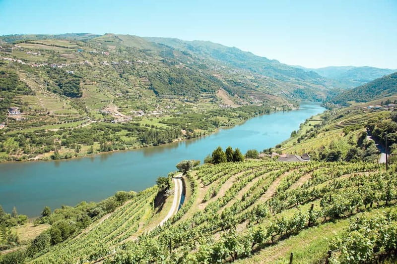 Douro Valley: Real Small-Group, Wine Tasting, Lunch & Boat - Why This Douro Day Feels Better Than a Big-Bus Wine Tour