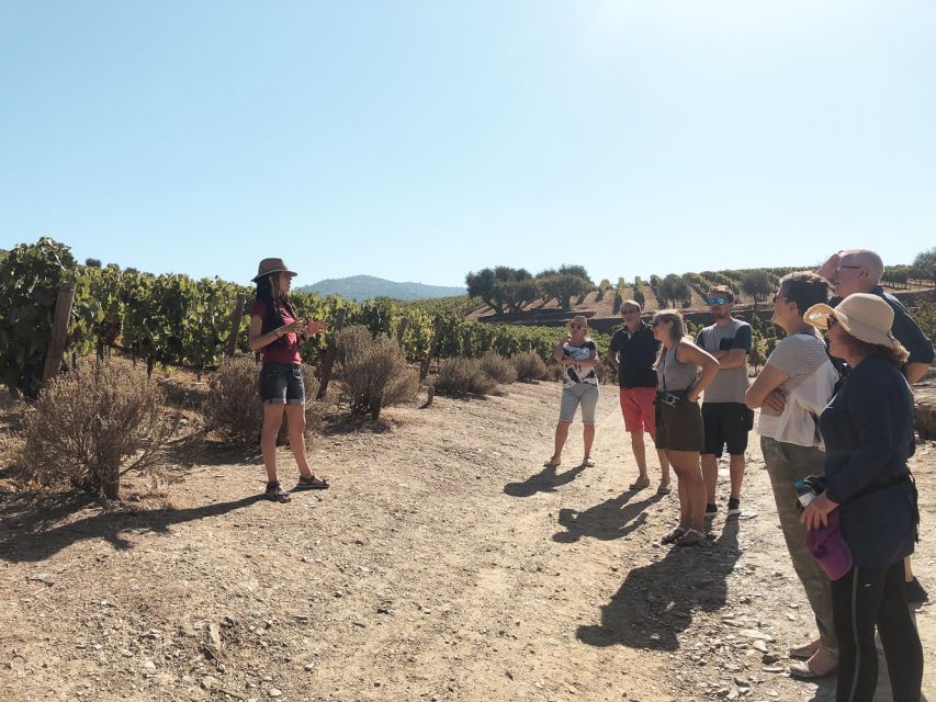 Douro Valley: Real Small-Group, Wine Tasting, Lunch & Boat - Lunch at a Typical Portuguese Restaurant (With Real Choice)