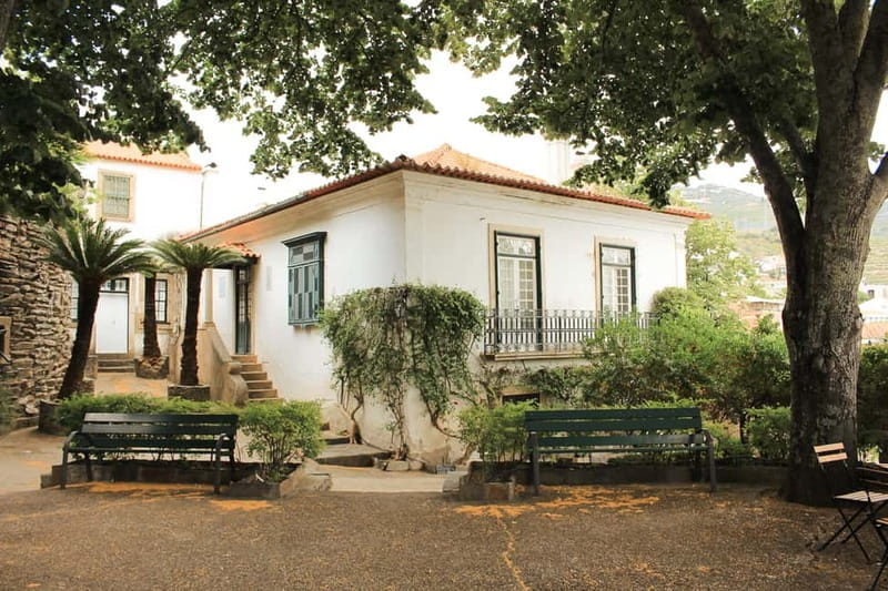 Douro Valley: Real Small-Group, Wine Tasting, Lunch & Boat - Stop 2: Small Table-Wine Producer, Premium Wine Differences, Olive Oil and Honey