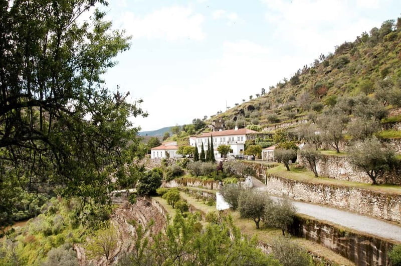 Douro Valley: Real Small-Group, Wine Tasting, Lunch & Boat - Price and Value: What You’re Really Paying For