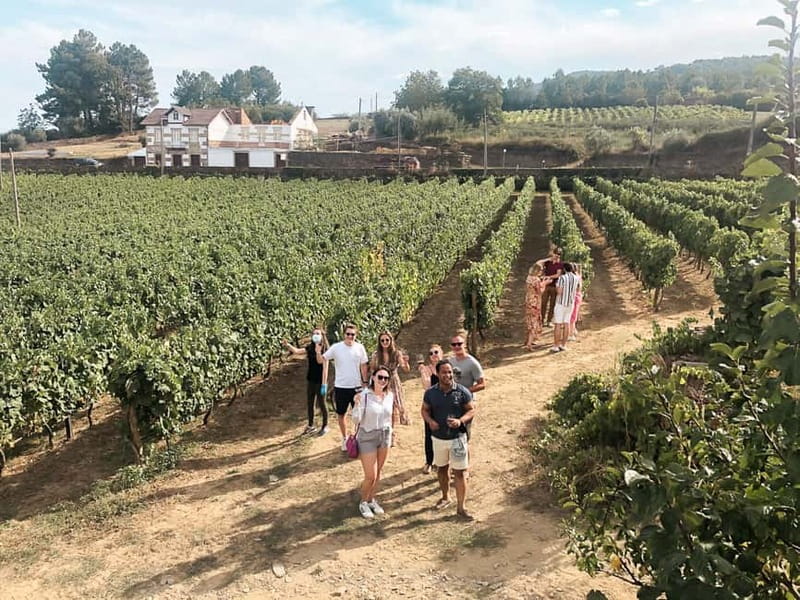 Douro Valley: Real Small-Group, Wine Tasting, Lunch & Boat - Porto Pickup and the 8-Seat Minivan Pace
