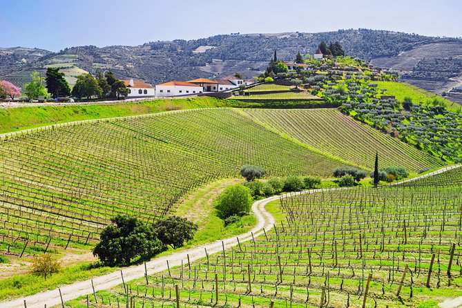 Douro Valley - Relaxed Departure from Porto - Why this Douro Day Feels Relaxed When It’s Really Full