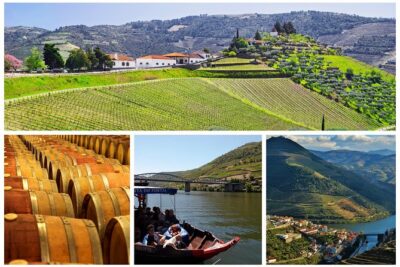 Douro Valley - Relaxed Departure from Porto - Price and What You’re Really Paying For
