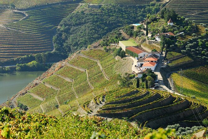 Douro Valley - Relaxed Departure from Porto - Lunch by The River (1 Hour 30 Minutes)