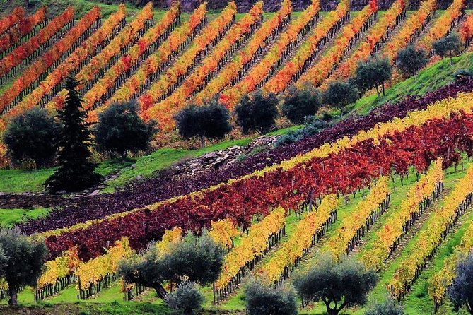Douro Valley - Relaxed Departure from Porto - Stop 4: Pinhão Boat Tour (50 Minutes)