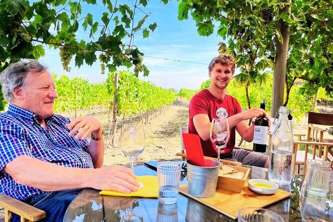Douro Valley Small-Group Tour: 2 Wineries, Lunch, Optional Cruise - Porto to the Douro Valley without the stress