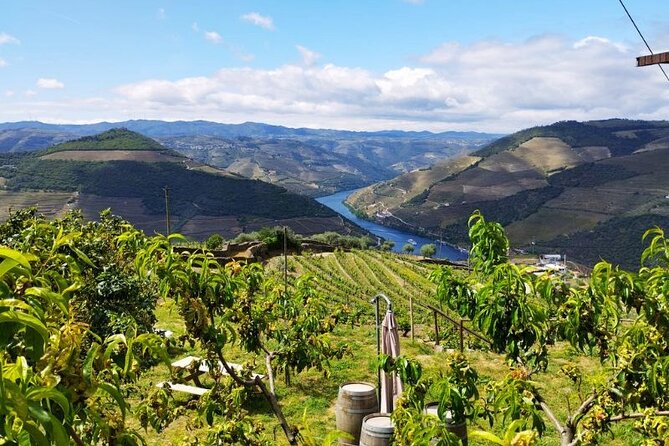 Douro Valley Small-Group Tour: 2 Wineries, Lunch, Optional Cruise - Small-group pacing: why the day feels friendlier than big tours