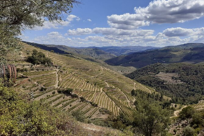 Douro Valley Small-Group Tour: 2 Wineries, Lunch, Optional Cruise - Price and value: what you’re really paying for