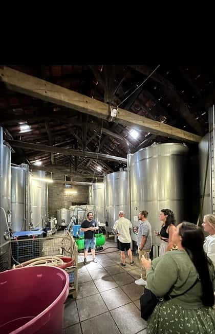 Douro Valley: Small-Group Tour, Winery's Lunch, Private Boat - Farm lunch at a family estate: open-fire cooking and local flavors