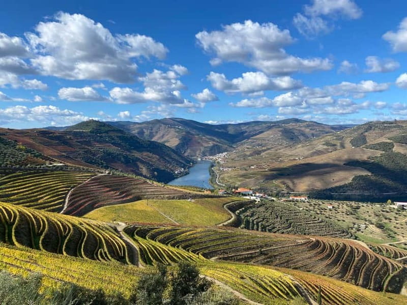 Douro Valley: Small-Group Tour, Winery's Lunch, Private Boat - Private Douro cruise: a calmer view with snacks and drinks