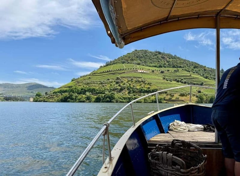 Douro Valley: Small-Group Tour, Winery's Lunch, Private Boat - Should you book this Douro Valley tour?