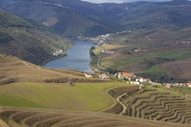 Douro Valley Tour: 2 Vineyard Visits, River Cruise, Winery Lunch - Quick hits before you go