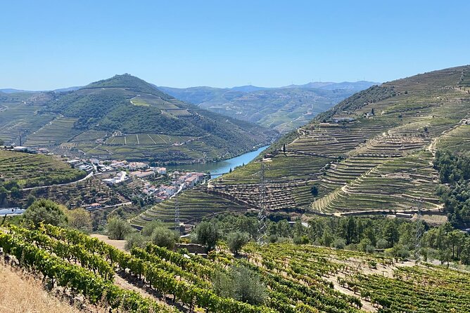 Douro Valley Tour - 3 Wine tastings, Lunch & river Cruise - Douro Valley photo stop: quick views that feel worth the drive