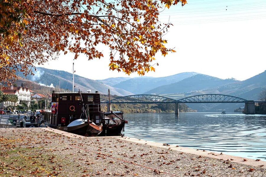 Douro Valley Tour: Visit 2 Wineries, Lunch & River Cruise - Key things to know before you go