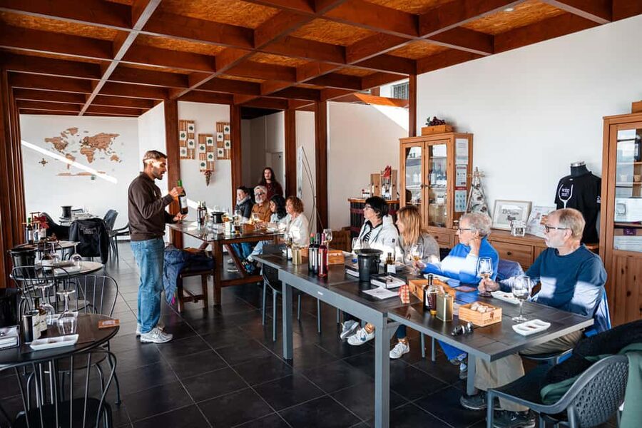 Douro Valley Tour: Visit 2 Wineries, Lunch & River Cruise - Weather, rain, and what to bring so the day stays pleasant