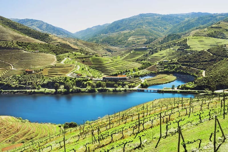 Douro Valley Tour: Visit 2 Wineries, Lunch & River Cruise - Why this Douro day works: Porto to Pinhão without the hassle