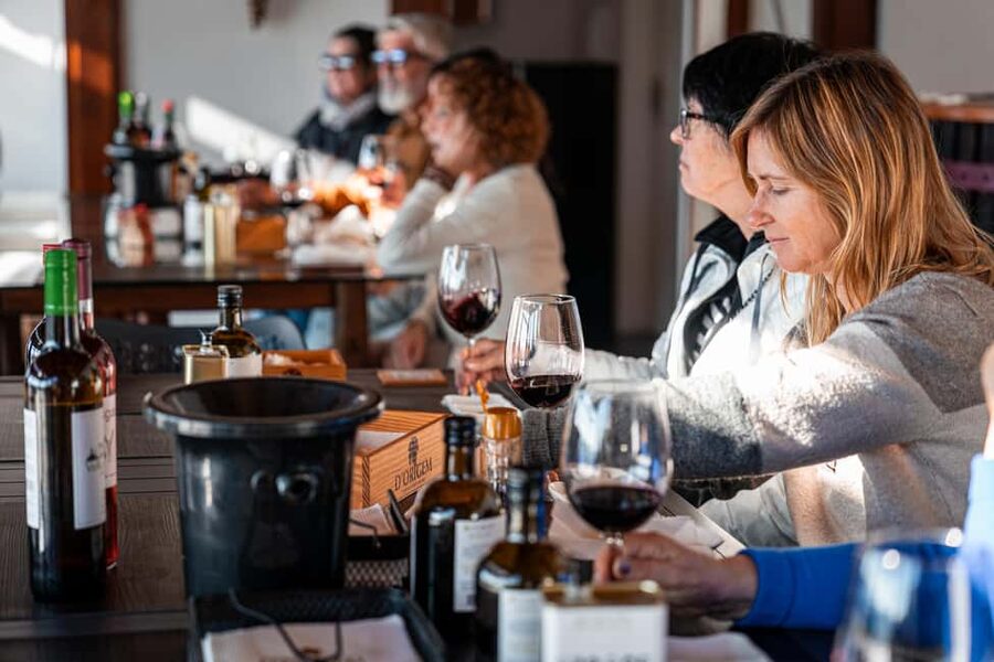 Douro Valley Tour: Visit 2 Wineries, Lunch & River Cruise - Two wine estates: DOC Douro tasting plus Port-style perspective