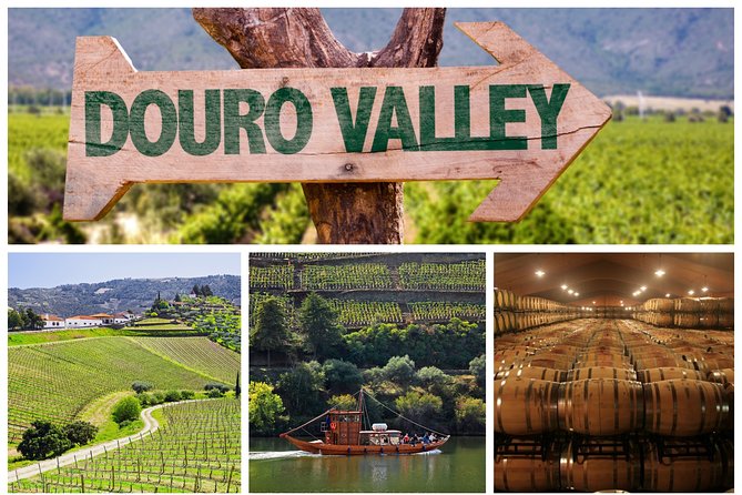 Douro Valley Tour: Wine Tasting, Cruise and Lunch from Porto - A 10.5-hour Douro day from Porto: what you get for $84.65