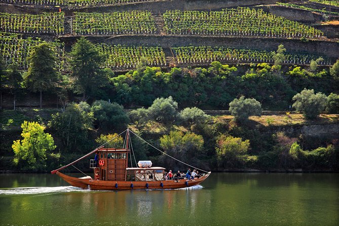 Douro Valley Tour: Wine Tasting, Cruise and Lunch from Porto - 1-hour Douro cruise: plan for wind, cold, and motion