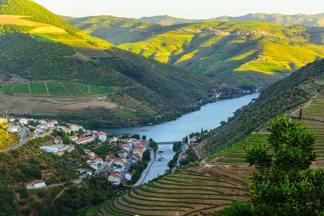 Douro Valley Tour: Wine Tasting, Cruise and Lunch from Porto - Where the tour feels best (and where it can feel long)