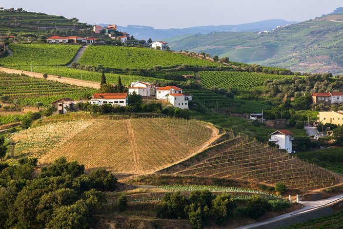 Douro Valley Tour: Wine Tasting, Cruise and Lunch from Porto - Tips that improve your day in the Douro