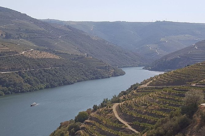 Douro Valley Tour: Wine Tasting River Cruise and Lunch from Porto - Meeting at Largo do Actor Dias near the Fernandina Wall