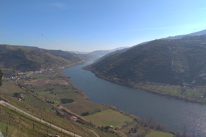 Douro Valley Tour: Wine Tasting River Cruise and Lunch from Porto - The included Barco Rebelo cruise: your hour on the river