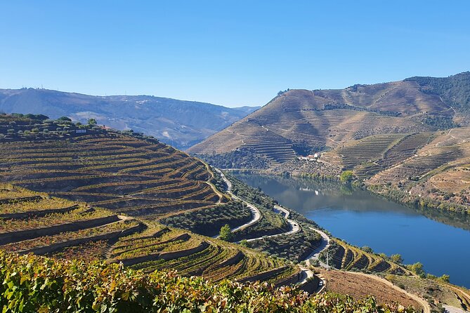 Douro Valley Tour: Wine Tasting River Cruise and Lunch from Porto - Wine-farm tasting and lunch: where the value lands