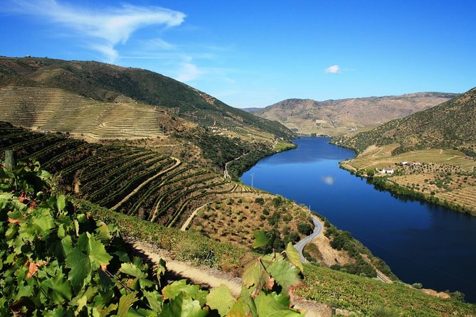 Douro Valley Wine Tour: 3 Vineyard Visits, Wine Tastings, Lunch - The AC Van, Small-Group Feel, and Seat Comfort Reality Check