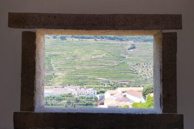 Douro Valley Wine Tour: 3 Vineyard Visits, Wine Tastings, Lunch - Leaving Porto at 8:30 from Igreja da Lapa (and Why Timing Matters)
