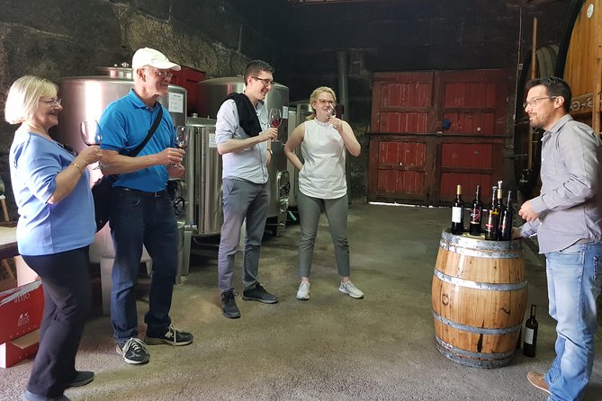Douro Valley Wine Tour: 3 Vineyard Visits, Wine Tastings, Lunch - Stop 2 in Folgosa: Historic Estate Tour and Port Tasting Focus